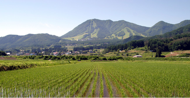 水田と高社山