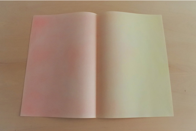 Pink to Yellow (2020-) Photo:FUJITA Michiko Pink to Yellow (2020-) Photo:FUJITA Michiko