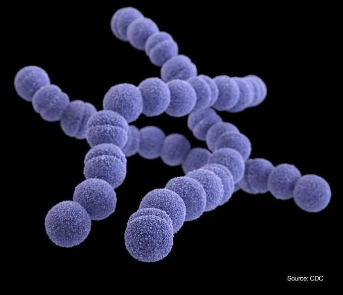 溶連菌の感染症が増加中 抗菌薬は適切な使用方法を守って 国立研究開発法人 国立国際医療研究センター Amr臨床リファレンスセンターのプレスリリース