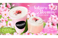 【南青山でお花見ピクニック】”飲む桜餅”スムージーが登場！桜×抹茶×甘酒のグラデーションが楽しめる春限定の発酵ドリンクが2月28日（土）より新登場！