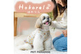 『ペットパラダイス』思いやりとやさしさにこだわった　“makokoro(まこころ）”　シリーズからあたたかくサポートする新ライン「Hokarela（ほかりら）」が登場