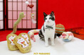 日本の伝統文化と猫の愛らしさが融合!和テイストの猫用グッズシリーズ『にゃぱにーず』を本格展開