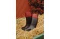 <AIGLE x Rouge> 初コラボレーションアイテムが9月24日(水)に発売