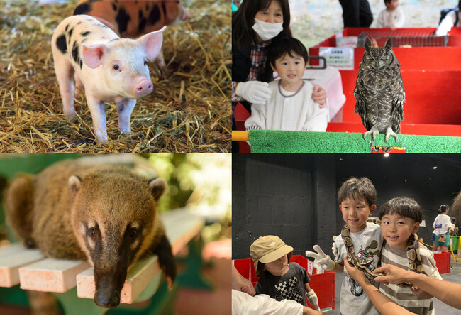 ※画像はイメージです 動物は変更になる場合があります