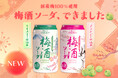 【新商品】芳醇な香りと爽やかな炭酸が織りなす、大人の梅酒ソーダ誕生
