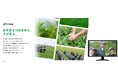 日本茶の価値と魅力を伝える特設サイト・動画を、9月16日（水）に公開