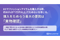 ECでファッションアイテムを購入する際、約60%が「1万円以上」でためらいを感じると回答。購入をためらう最大の要因は「実物確認」。