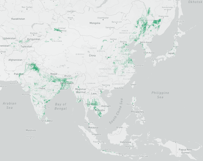 本研究で作成したアジアモンスーン地域の水田マップ（緑色の部分が水田） 