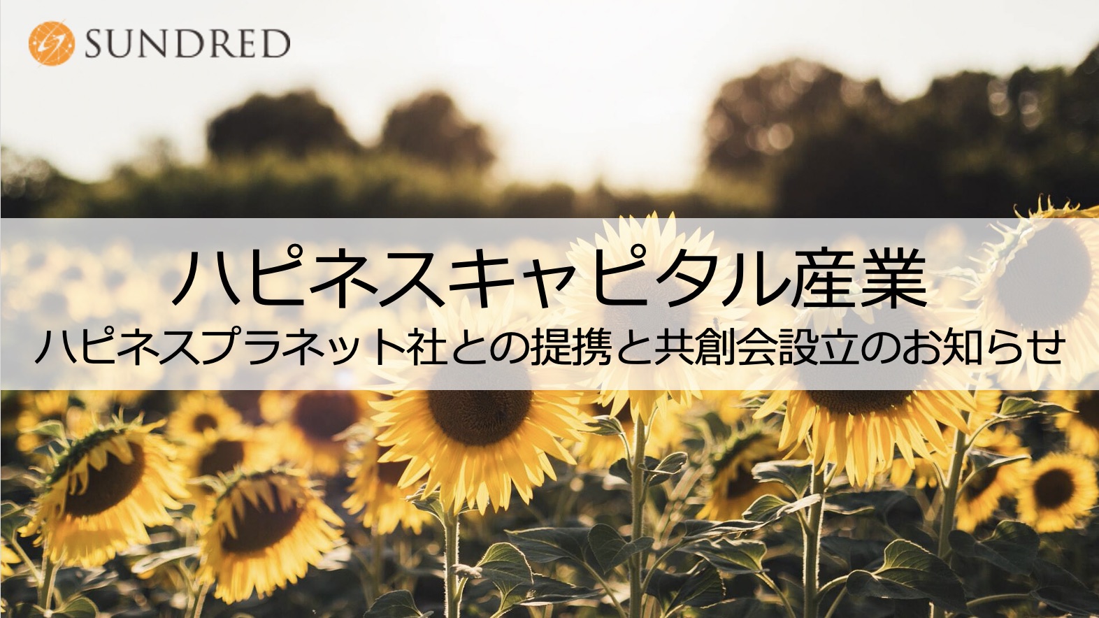 株式会社ハピネスプラネットと提携開始 ハピネスキャピタル産業 のエコシステム構築を加速 Sundred 株式会社のプレスリリース