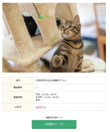 新型コロナウイルスで営業できない保護猫カフェを救う 保護猫カフェ応援特設サイト をリリース 一般社団法人 和のプレスリリース