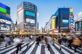 コリアーズ・ジャパン・ホスピタリティ・インサイト|2024 / 投資のポテンシャルと実績が引き続き日本のホテルセクターへの関心を高める