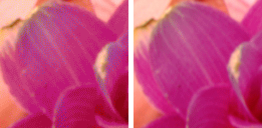 左：8bitインデックスカラー画像(200%拡大) ディザが目立つ、右：12bitインデックスカラー画像(200%拡大) 使用色数を4096色に拡大することで、十二分な画質が得られた