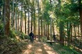 株式会社エイアンドエフ、神奈川県小田原市「フォレストバイク」に新コース「大樹の森」を造成。森林資源を活かした「トレイル事業」で、地域振興と持続可能な森林経営のモデルケースを提示。
