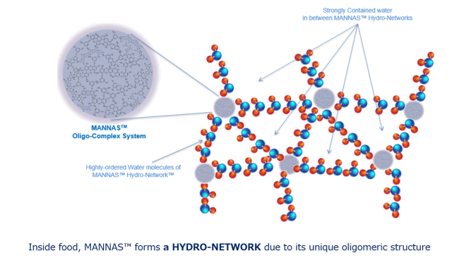 【図2. Hydro-Network図】