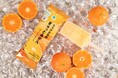 「産地と、コンビに、」シリーズ最新作!450年の歴史を紡ぐ日本の伝統みかん 和歌山県産有田みかん果汁を使った「とろける食感 ぎゅっとみかん」を10月1日(火)新発売!