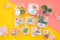 食卓も“衣替え”　 タイパ重視の忙しい日常や行楽まで、あと1品に大活躍！「明太子」と「たまご」の春を彩る華やかなサラダが勢ぞろい！ 「春の彩りサラダ」5種類を3月17日（火）から発売
