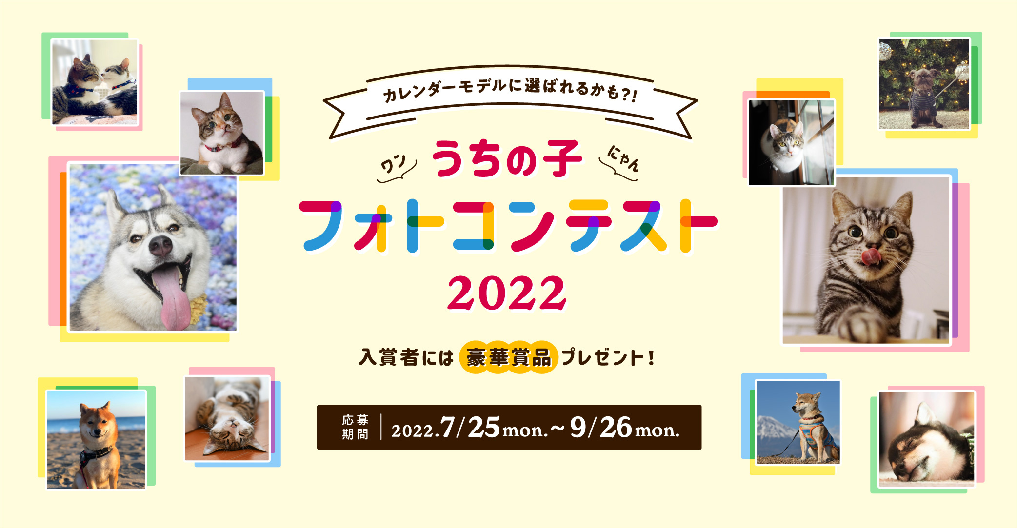 アイペット うちの子フォトコンテスト22 投稿キャンペーン開始 アイペット損害保険株式会社のプレスリリース