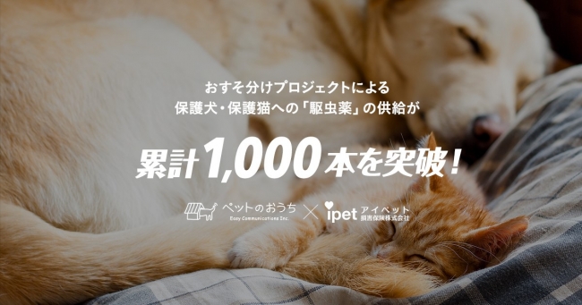 アイペットが支援する おすそ分けプロジェクト 保護犬 保護猫たちへのノミ マダニ駆除 薬の支援が1 000本を突破 アイペット損害保険株式会社のプレスリリース