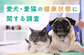 【幼齢ペットは誤飲に注意】愛犬・愛猫の健康状態に関する調査