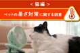 <猫編>ペットの暑さ対策に関する調査