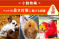 <小動物編>ペットの暑さ対策に関する調査