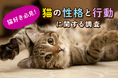 【猫好き必見!】猫の性格と行動に関する調査