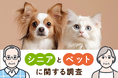 【ペットとの暮らしで得られる癒し】 シニアとペットに関する調査