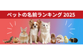 犬は「むぎ」が5連覇、猫は「ラテ」が初の1位に!ペットの名前ランキング2025