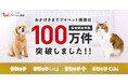 【アイペット損保】保有契約件数が100万件を突破!