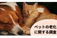寝ている時間が増えたら老化のサイン？ペットの老化に関する調査 