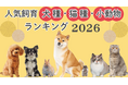 2026年版「人気飼育犬種・猫種・小動物ランキング」発表！
