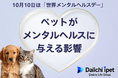 【第一アイペット】ストレス解消法1位は「ペットと触れ合う」。ペットがメンタルヘルスに与える影響調査