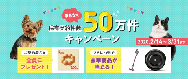 まもなく！保有契約件数50万件キャンペーン