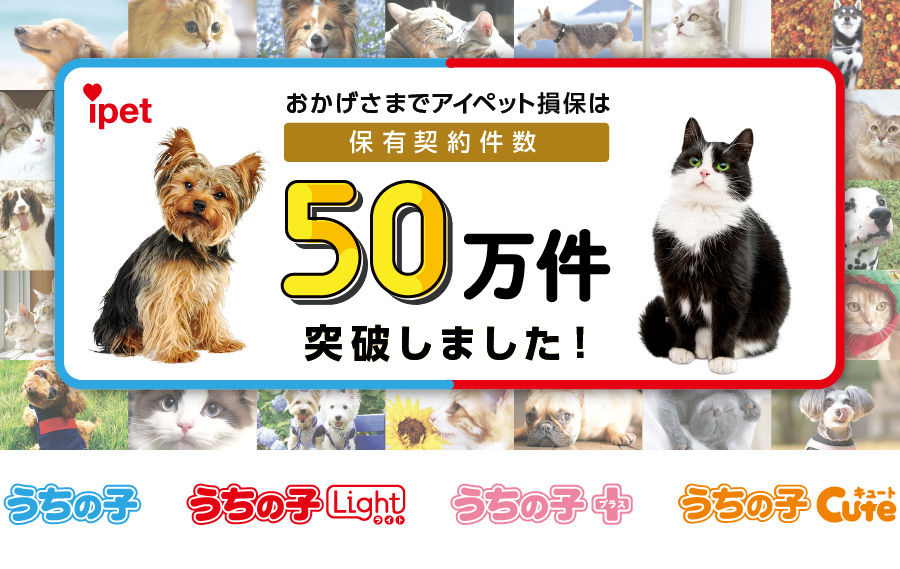 保有契約件数が50万件を突破 同時にアイペット対応動物病院も5 000施設を突破し 利便性もさらに拡大 アイペット損害保険株式会社のプレスリリース