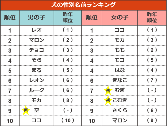 犬の性別名前ランキング