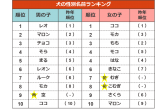 5年分のトレンドも振り返る ペットの名前 ランキング 犬 ココ と猫 レオ が連覇達成 令和ネームも増加中 アイペット損害保険株式会社のプレスリリース