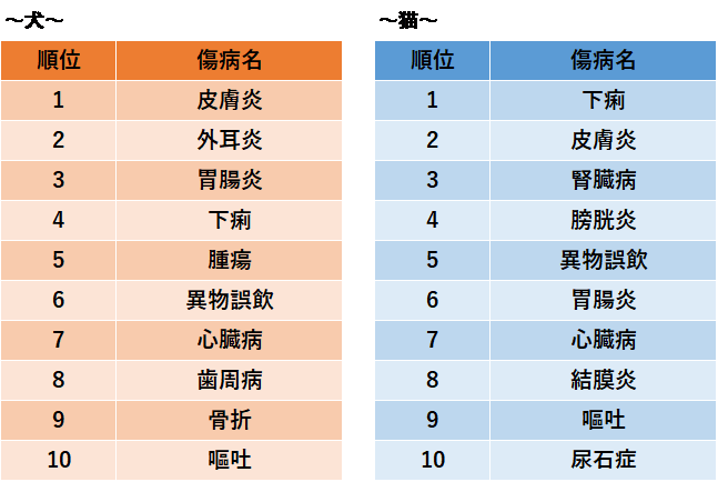 ペットの保険金請求が多い傷病のランキング2020 ～ペットの傷病、3年 