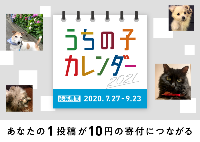 第6回 アイペット うちの子カレンダー21 投稿キャンペーン開始 写真を投稿して アイペット公式カレンダーモデルになろう アイペット損害保険株式会社のプレスリリース