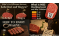 日本の食の“本物”を世界へ——和牛・有機抹茶・原木椎茸など、日本の誇る逸品を発信するウェブメディア『WAGYUNINJA magazine』をローンチ