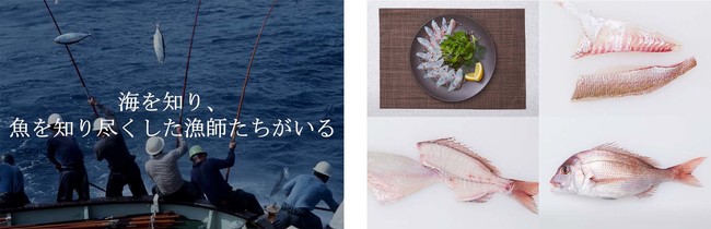 店舗のモニターで流れる漁の様子のワンカット（写真左）同じく魚の調理過程のワンカット（写真右）
