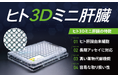 当社3D細胞製品に関する新たな知的財産権取得のお知らせ