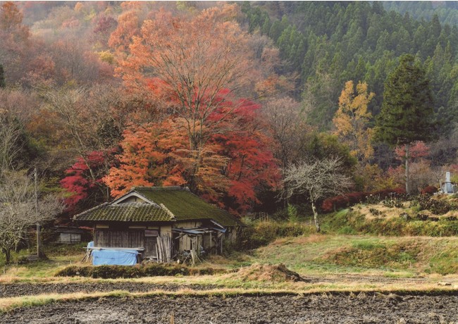 岩崎巌フォト『廃屋の秋』