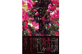 【新刊】非合法処刑人の日々を非情、冷徹に描く本格ノワール小説『処刑の庭』が発売。
