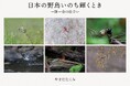 他では見ることのできない貴重な野鳥の姿が満載の写真集『日本の野鳥いのち輝くとき』が発売。