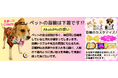 ペットの首輪は下着です⁉~我がペットを可愛く幸せにしたい!を実現~AkubiMo(あくび~も) が第14回ウーマンズビジネスグランプリ2025 in品川ファイナリストに選出されビジネスプランを発表
