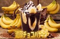 【新潟初上陸】濃厚チョコバナナ！Candyapple原宿店で大人気商品がイオンモール新潟亀田インターにて2026年6月27日〜期間限定販売！