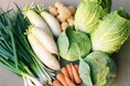 【2025冬家計を圧迫】野菜の価格高騰、5000人のリアルな声を緊急調査!約7割が「生活費の増加」、約6割が「野菜不足を感じる」と回答