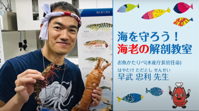 親子で楽しいおさかな解剖キット 日本海老協会のプレスリリース