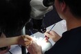 ジャパン・メディカル・カンパニー社製の医療模型を用いたハンズオンセミナーが国際医療福祉大学成田病院で開催