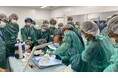 ジャパン・メディカル・カンパニー社製の医療模型を用いたハンズオンワークショップNeurosurgery hands-on workshop TOKYO 2024が開催